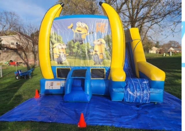 despicable me 6 in 1combo wet or dry